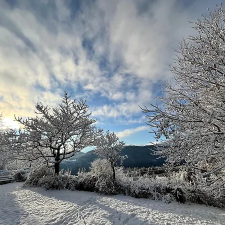 Seeblickmatzelsdorf アパート ミルシュタット