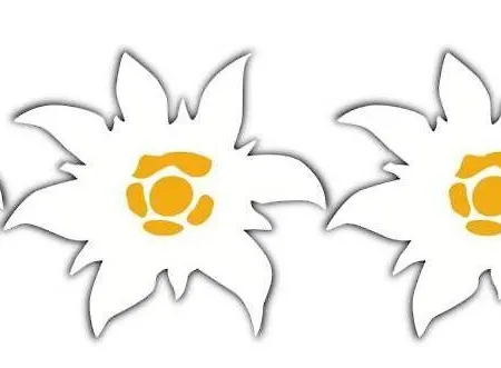 Apartament Seeblickmatzelsdorf *