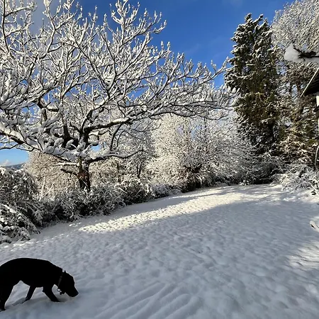 Seeblickmatzelsdorf アパート