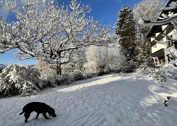 Seeblickmatzelsdorf Apartmán